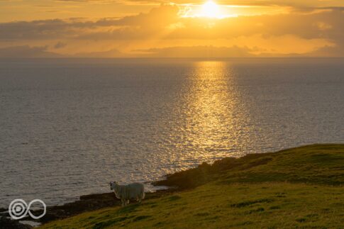 Duntulm Bay | August 2024