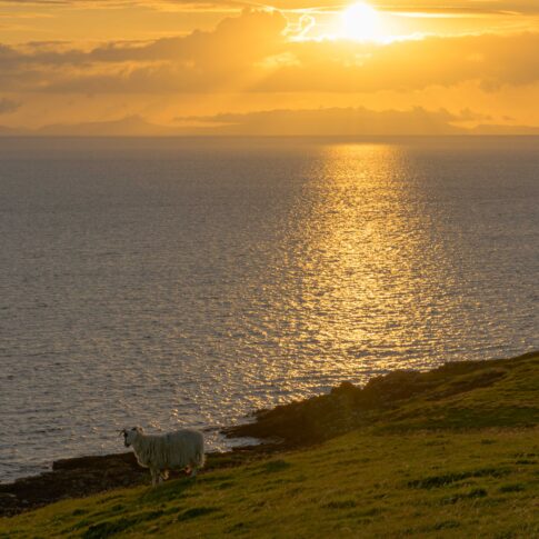 Duntulm Bay | August 2024